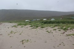 IMG_1581