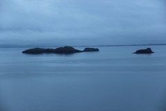 IMG_1704
