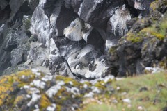 IMG_1815