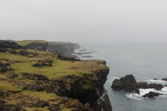 IMG_1817