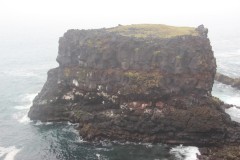 IMG_1820