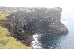 IMG_1821