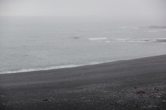 IMG_1832