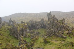 IMG_1833
