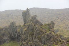 IMG_1834