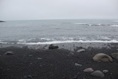 IMG_1871