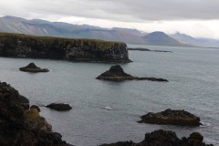 IMG_1908