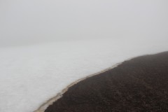 IMG_1937