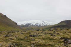 IMG_1941