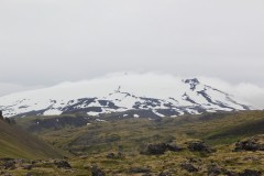 IMG_1942