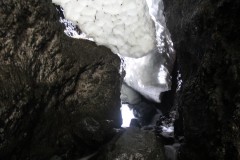 IMG_1959