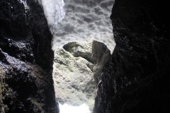 IMG_1960