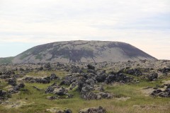 IMG_1971