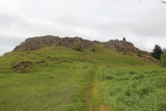 IMG_1979