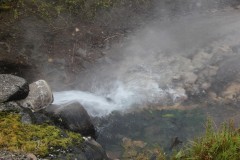 IMG_1987
