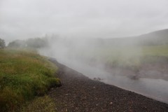 IMG_1989