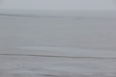 IMG_2044