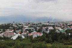 IMG_2051