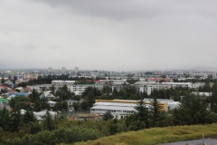 IMG_2053