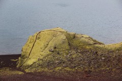IMG_2084