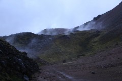 IMG_2114