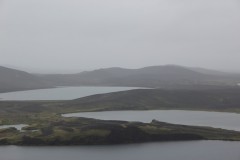 IMG_2164