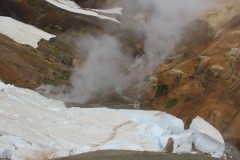IMG_2199