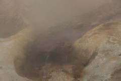 IMG_2208