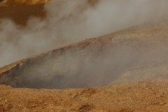 IMG_2211