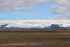IMG_2221