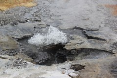 IMG_2235