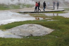 IMG_2239