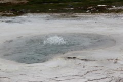 IMG_2243