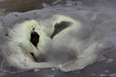 IMG_2247