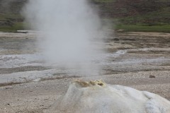 IMG_2251