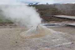 IMG_2252