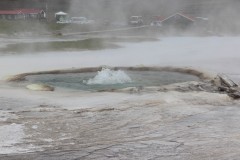 IMG_2255