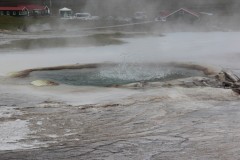 IMG_2256
