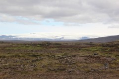 IMG_2265