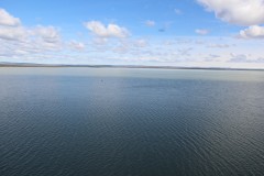 IMG_2272
