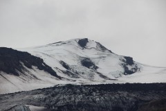 IMG_2278