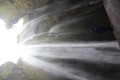 IMG_2289