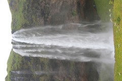 IMG_2293