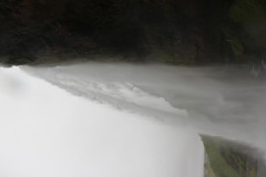 IMG_2296