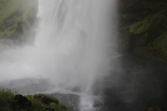 IMG_2297