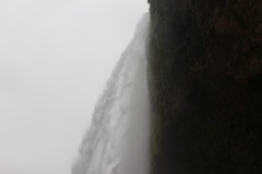 IMG_2298