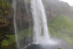 IMG_2303
