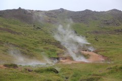 IMG_2320
