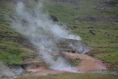 IMG_2321