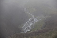IMG_2325